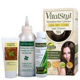 VitalStyl 綠活染髮劑